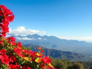 Gran Canaria: co warto zobaczyć na tej pięknej wyspie?