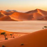 Najstarsza pustynia na Ziemi: odkryj tajemnice pustyni Namib