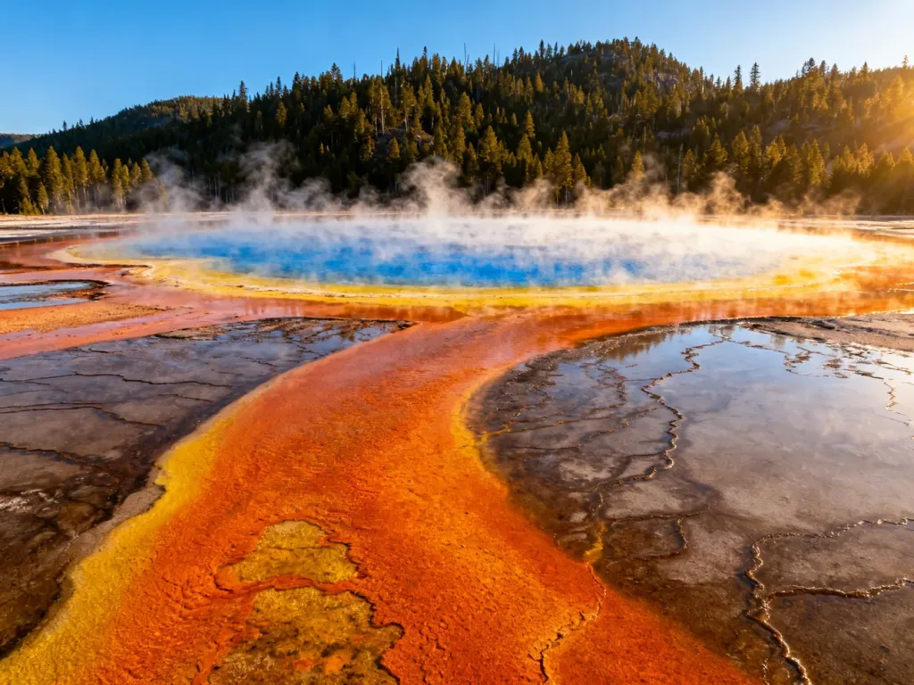 Wielobarwne źródło Grand Prismatic Spring w Parku Narodowym Yellowstone otoczone lasem w świetle poranka.