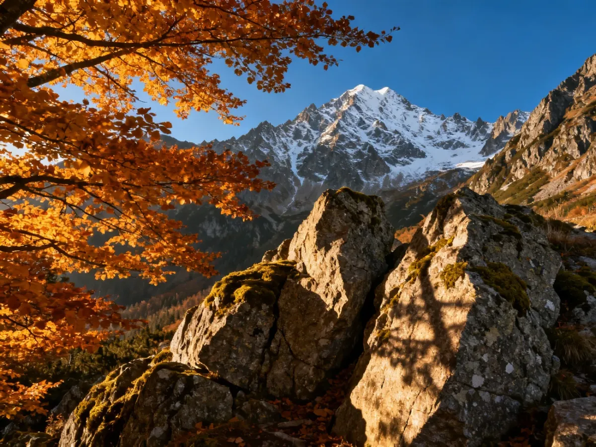 Jesienne Tatry ze złotymi liśćmi na pierwszym planie i ośnieżonymi szczytami w promieniach zachodzącego słońca.