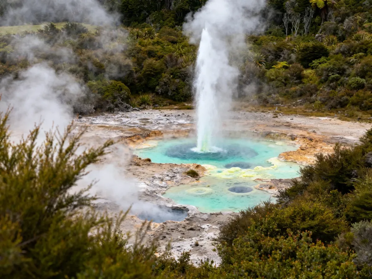 Gejzer i kolorowe baseny geotermalne w Rotorua