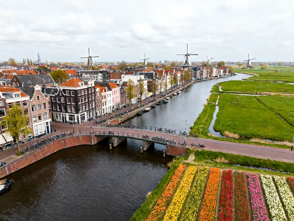 Panoramiczny krajobraz Niderlandów z kanałem, wiatrakami i polami tulipanów